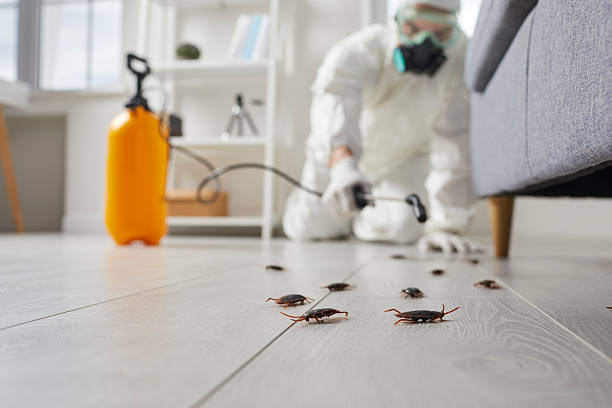 Commercial Kitchen Cockroach Control in Munford